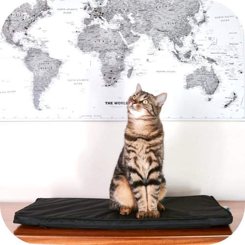 CatWorld Cat Bed