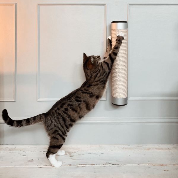 Wall-Mounted Cat Scratcher - Image 5