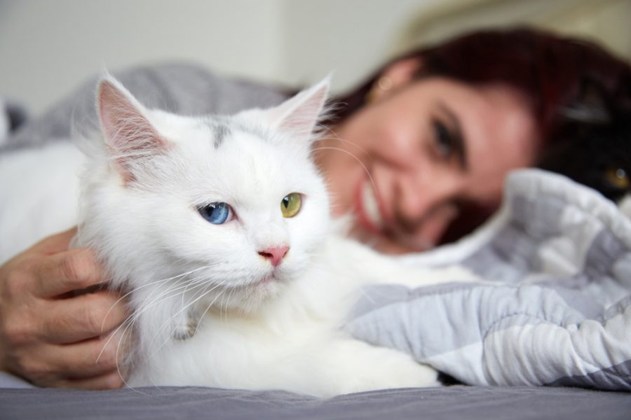 cat purring with owner