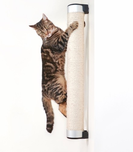 scratching post catipilla prize