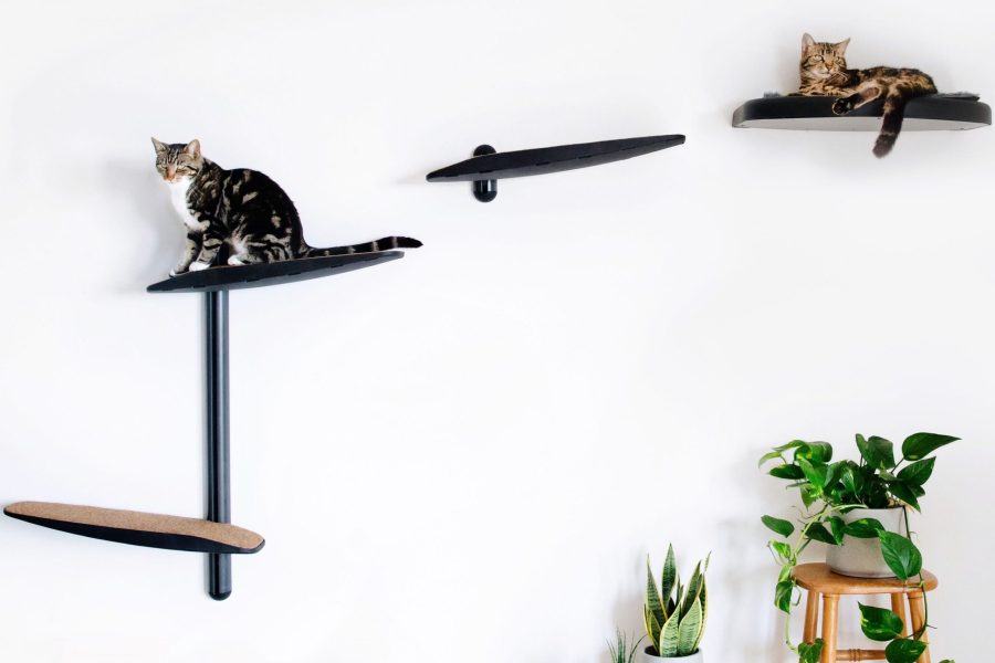 Wall-Mounted Cat Tree