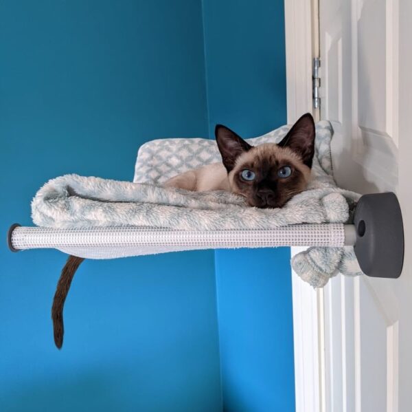 Cat Hammock - Image 2