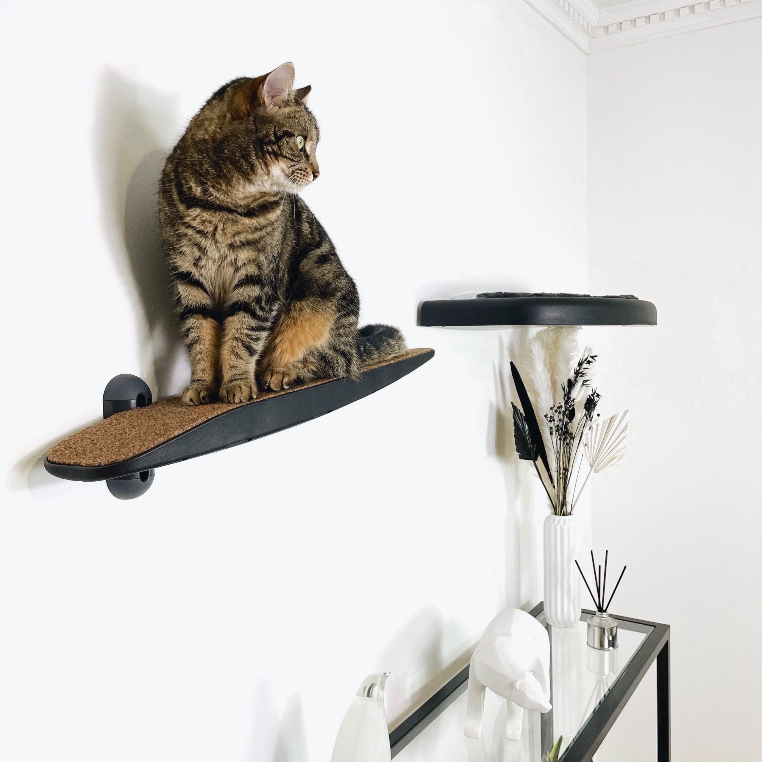 Cat Wall Step