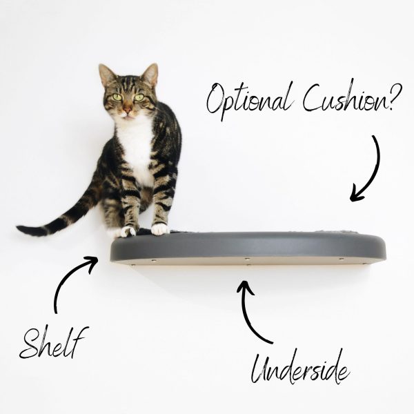 Cat Shelf Options