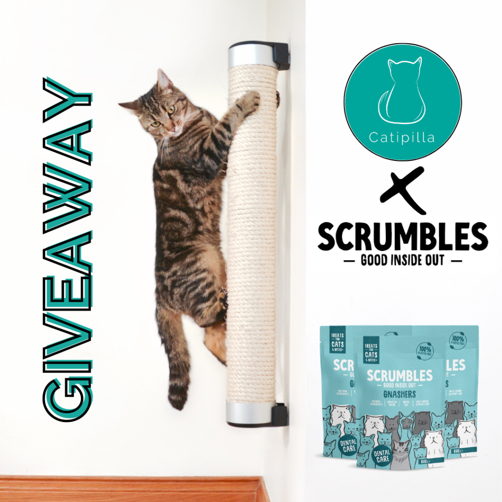 Scrumbles X Catipilla Giveaway prize pack