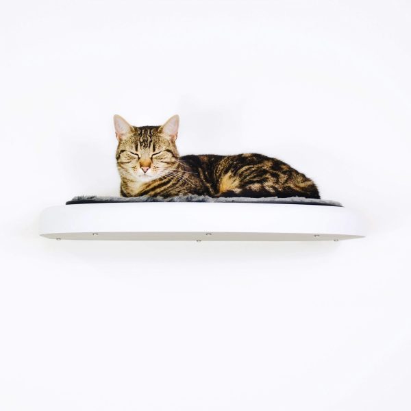 Cat Shelf UK