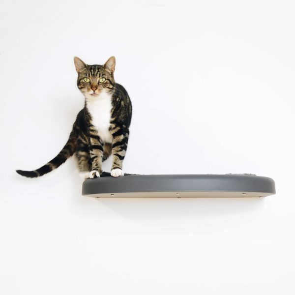 Cat Platform