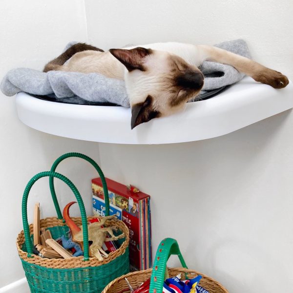 Cat Bed On Wall