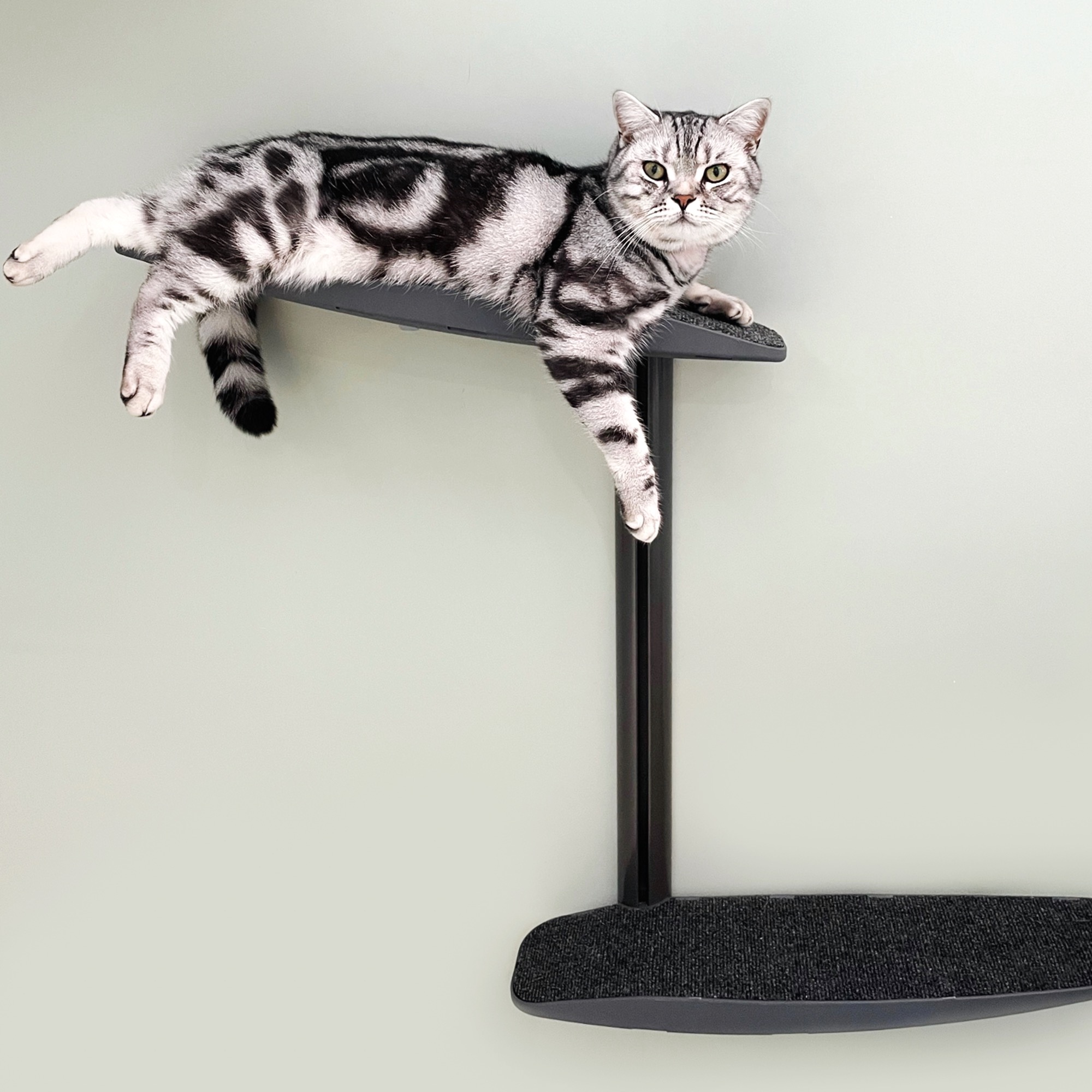 De todos modos Pantano Miau miau Catipilla Mini | Compact, Wall-Mounted Cat Climber