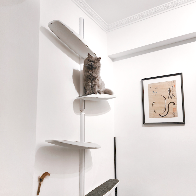 Wall-Mounted Cat Tree