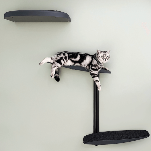 Cat Wall In Black