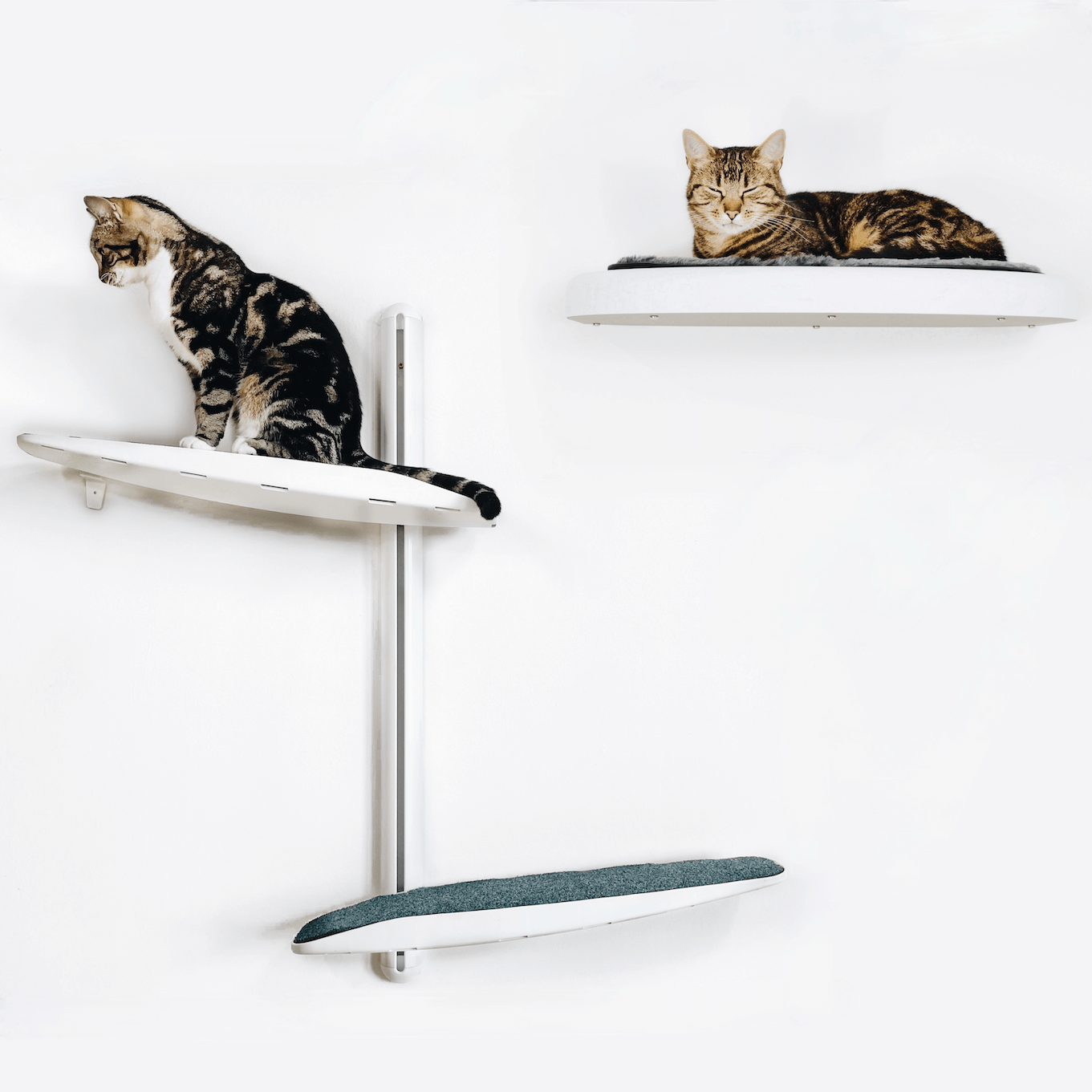 Modern Cat Wall