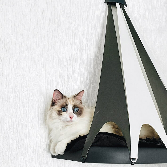 TeePee For Cat
