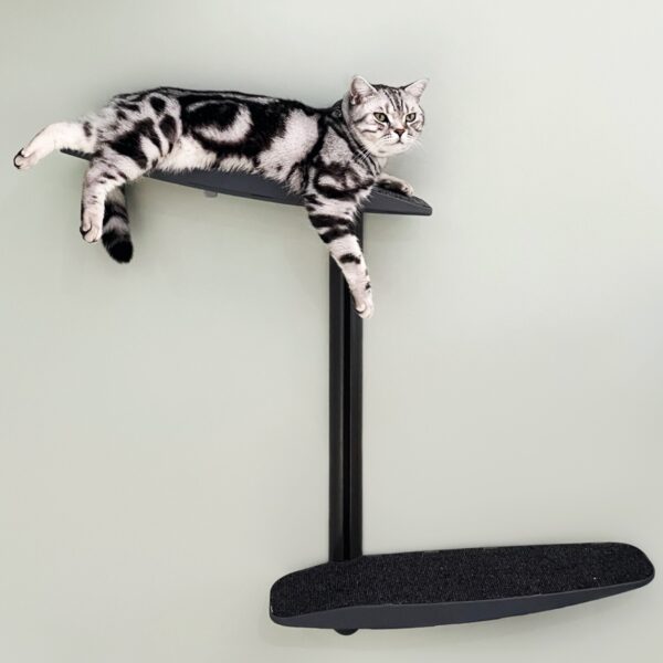 Mini Cat Climber