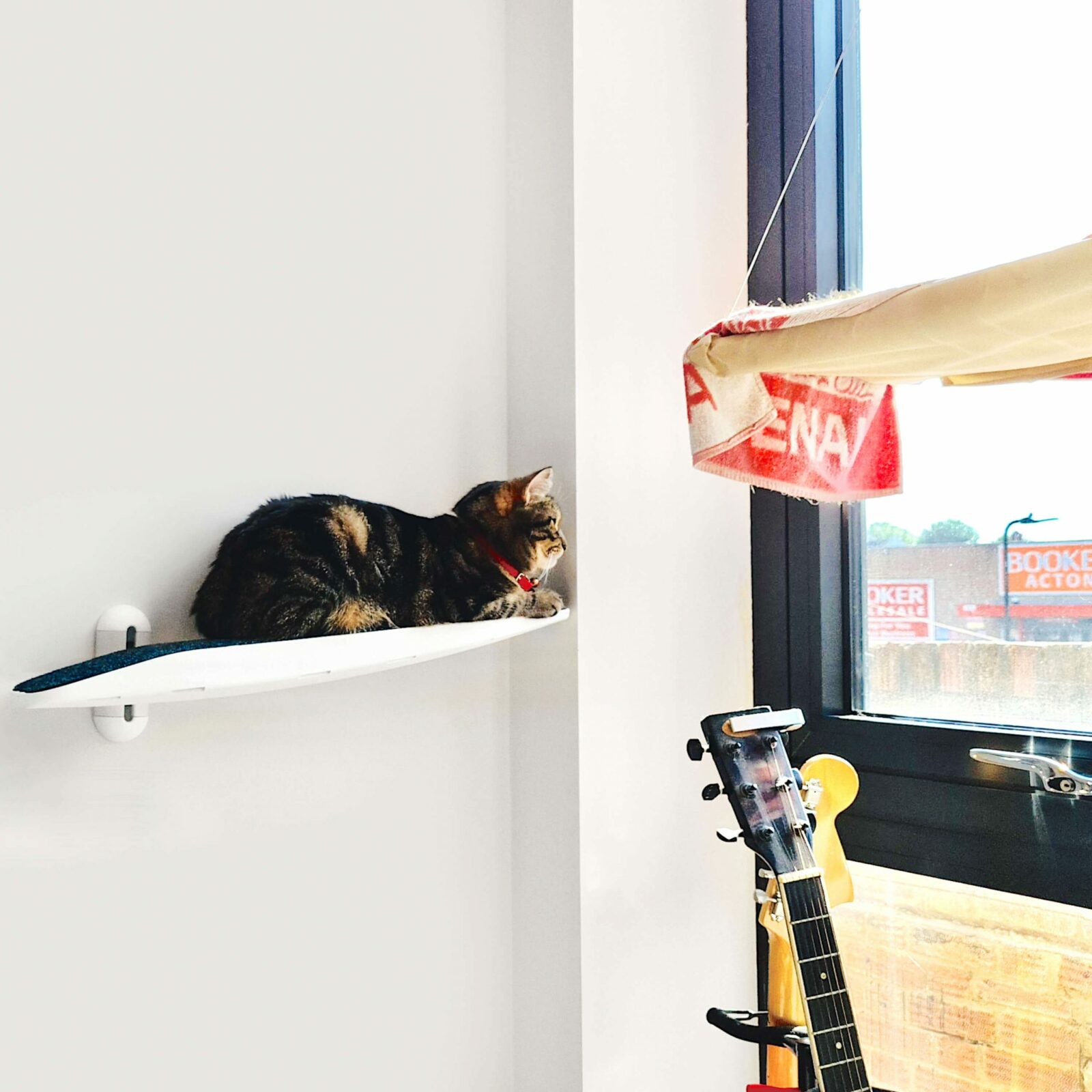 Cat Window Shelf