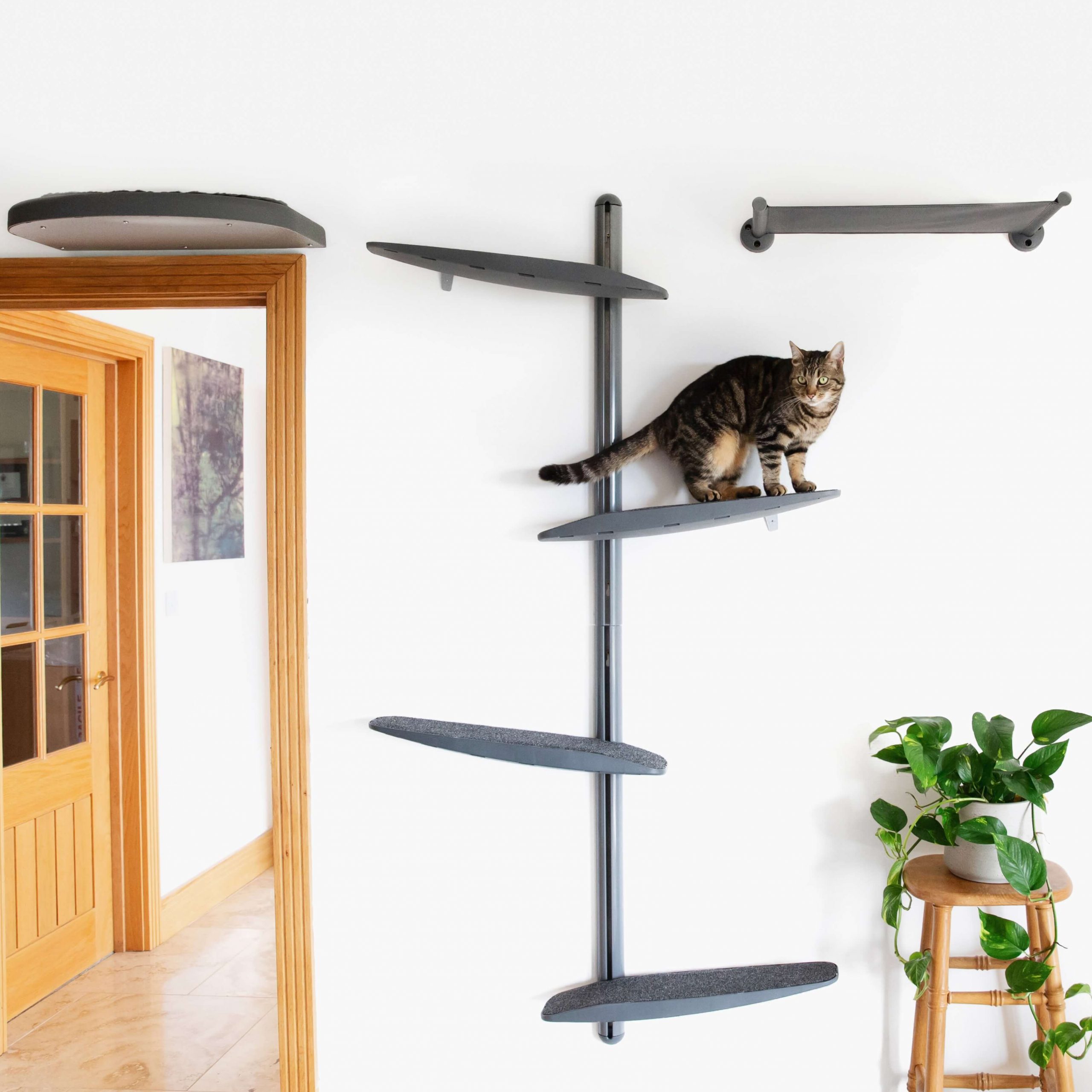 Cat Furniture Wall Bundle