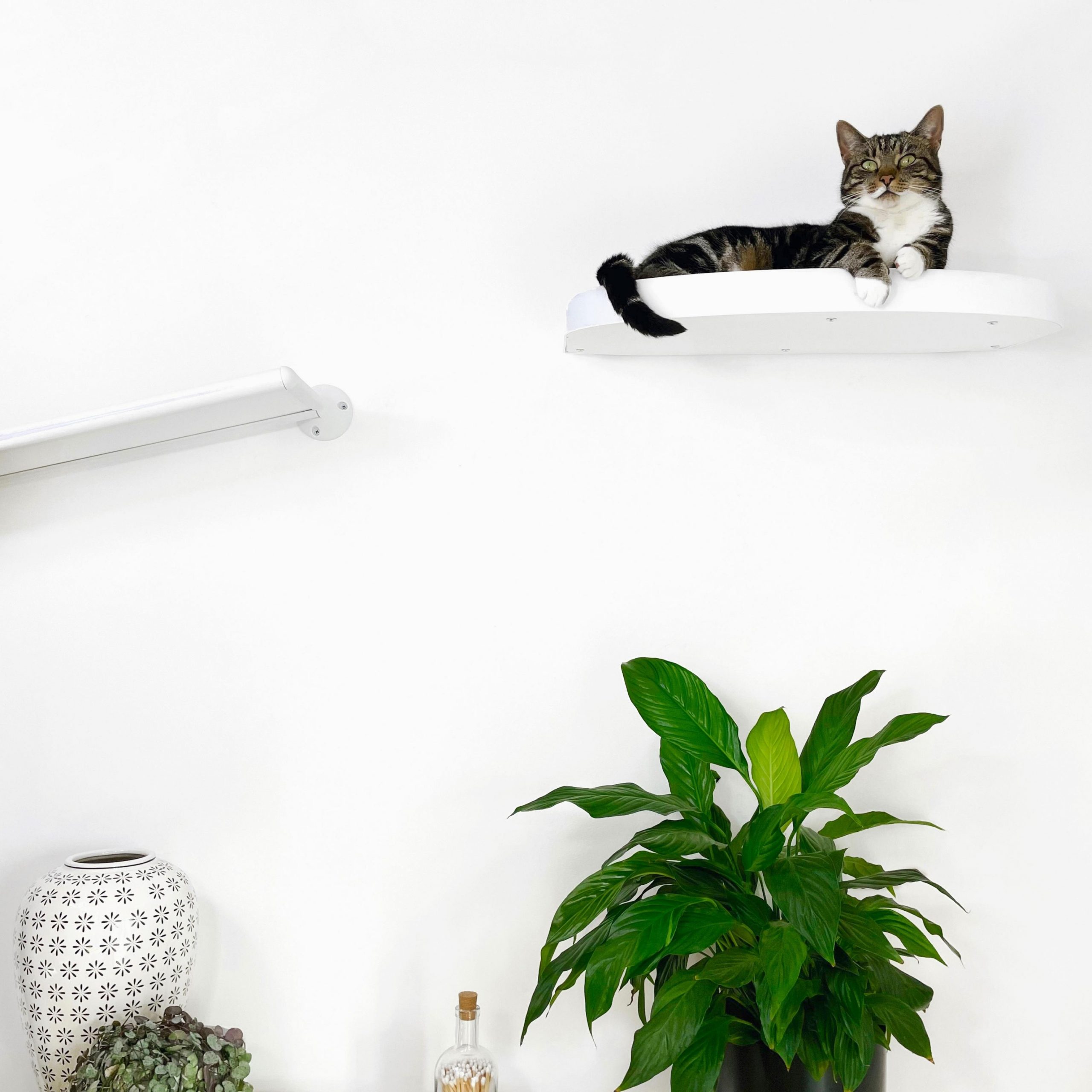 White Cat Floating Shelf