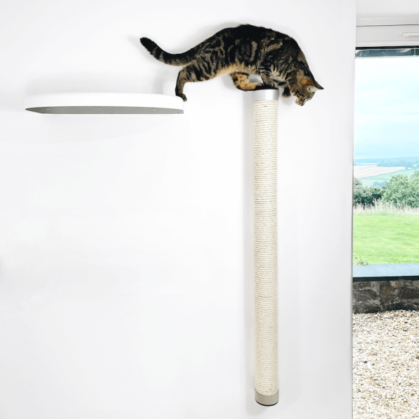 Wall-Mounted Climbing Pole - Image 7