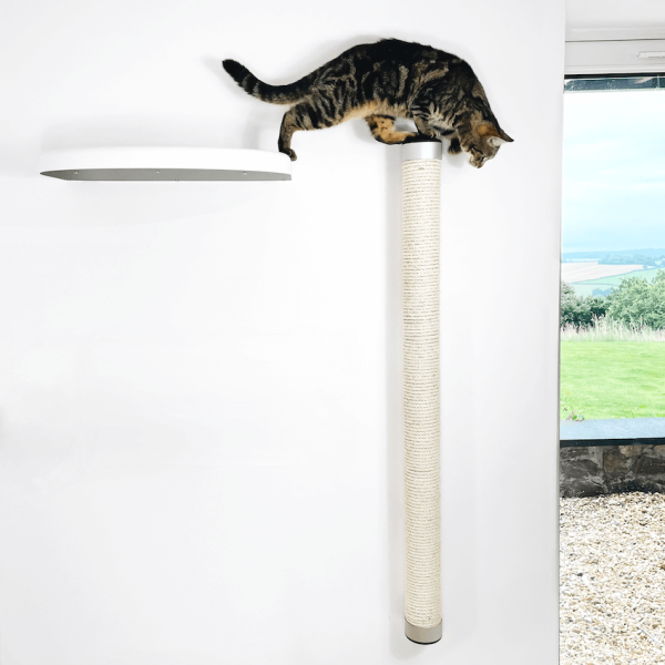 Cat Climbing Pole & Bed