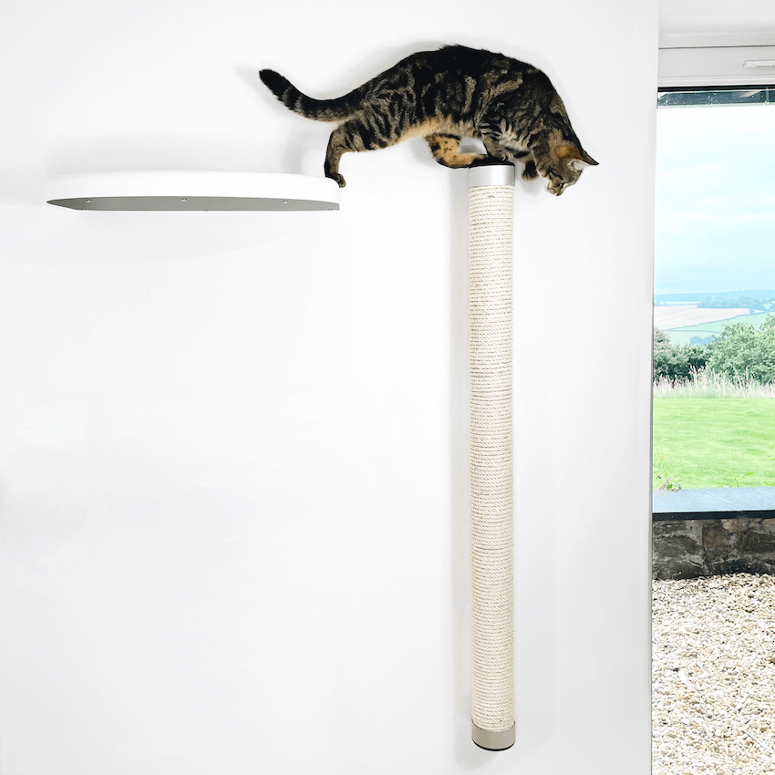 Cat Climbing Pole & Bed