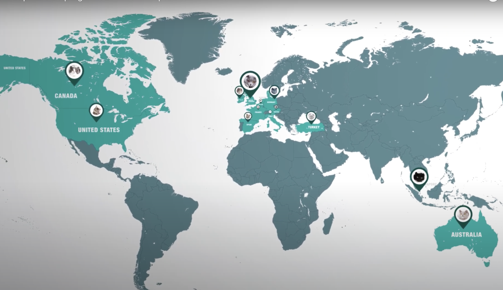 Screenshot of the world map