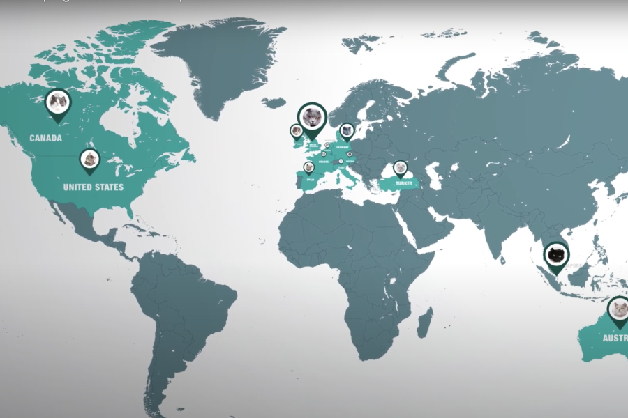Screenshot of the world map
