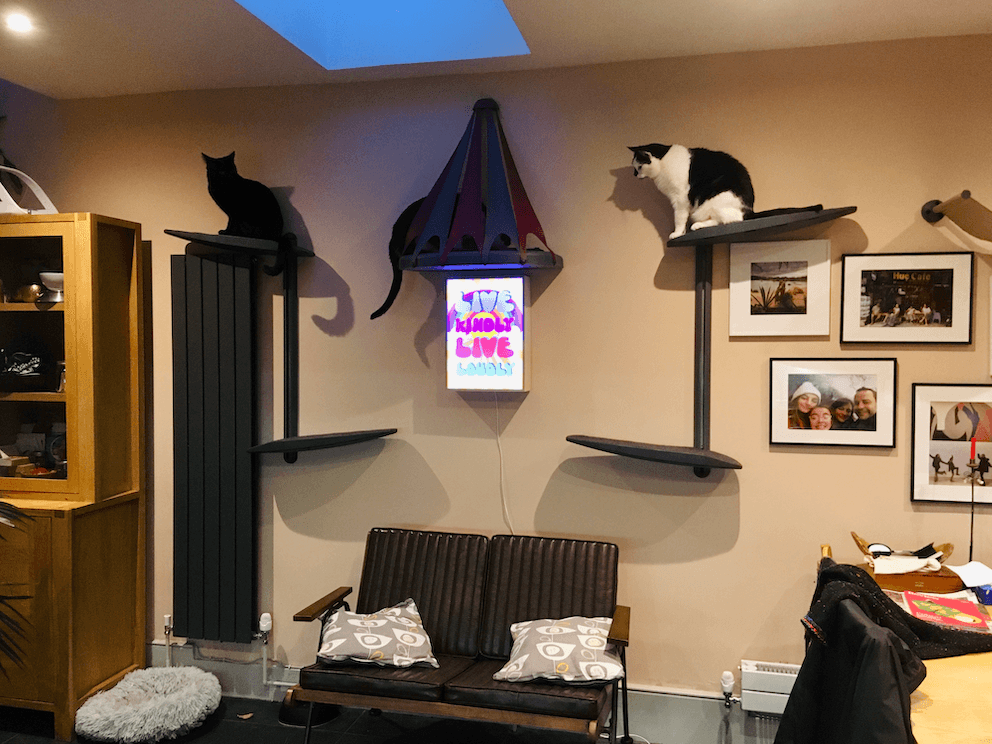 Indoor Cat Wall Modern
