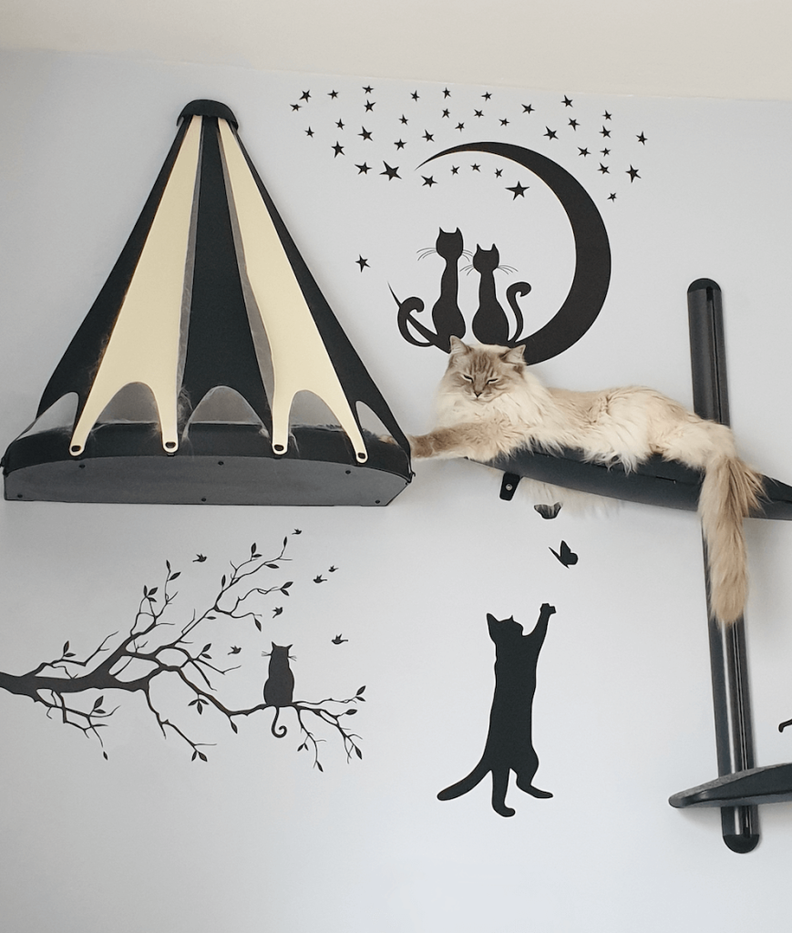 Cat Wall Mounted