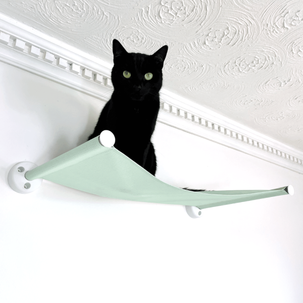 Cat Wall Hammock