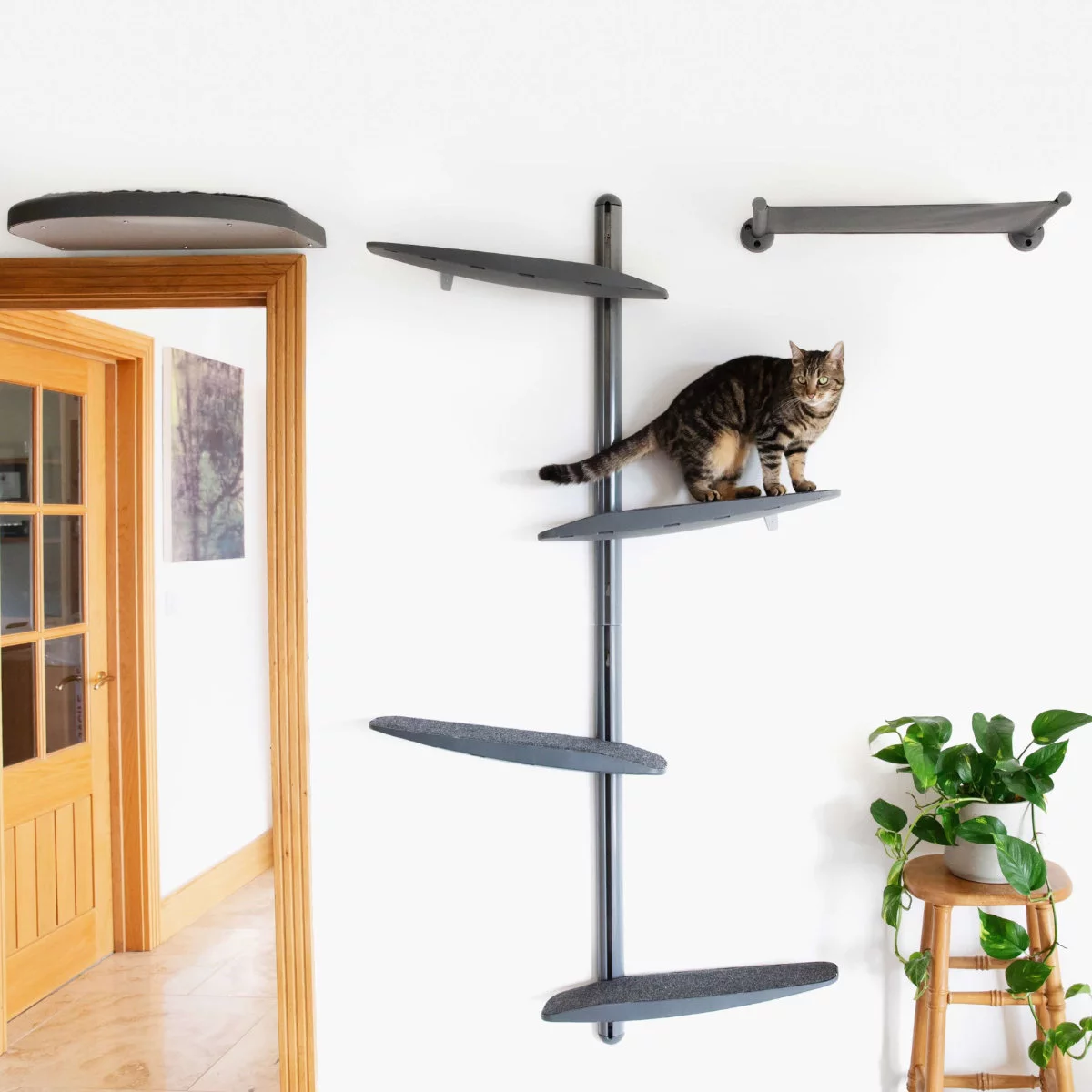 Modern Cat Furniture On Wall