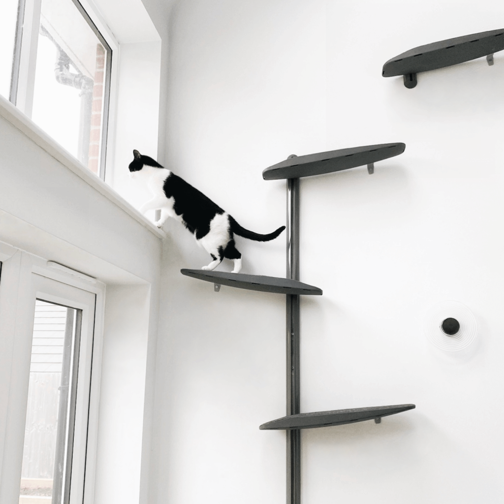 Cat Climber Wall