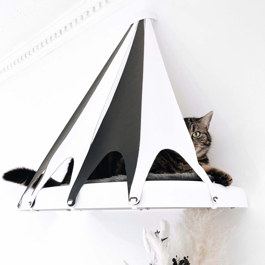 Cat In TeePee