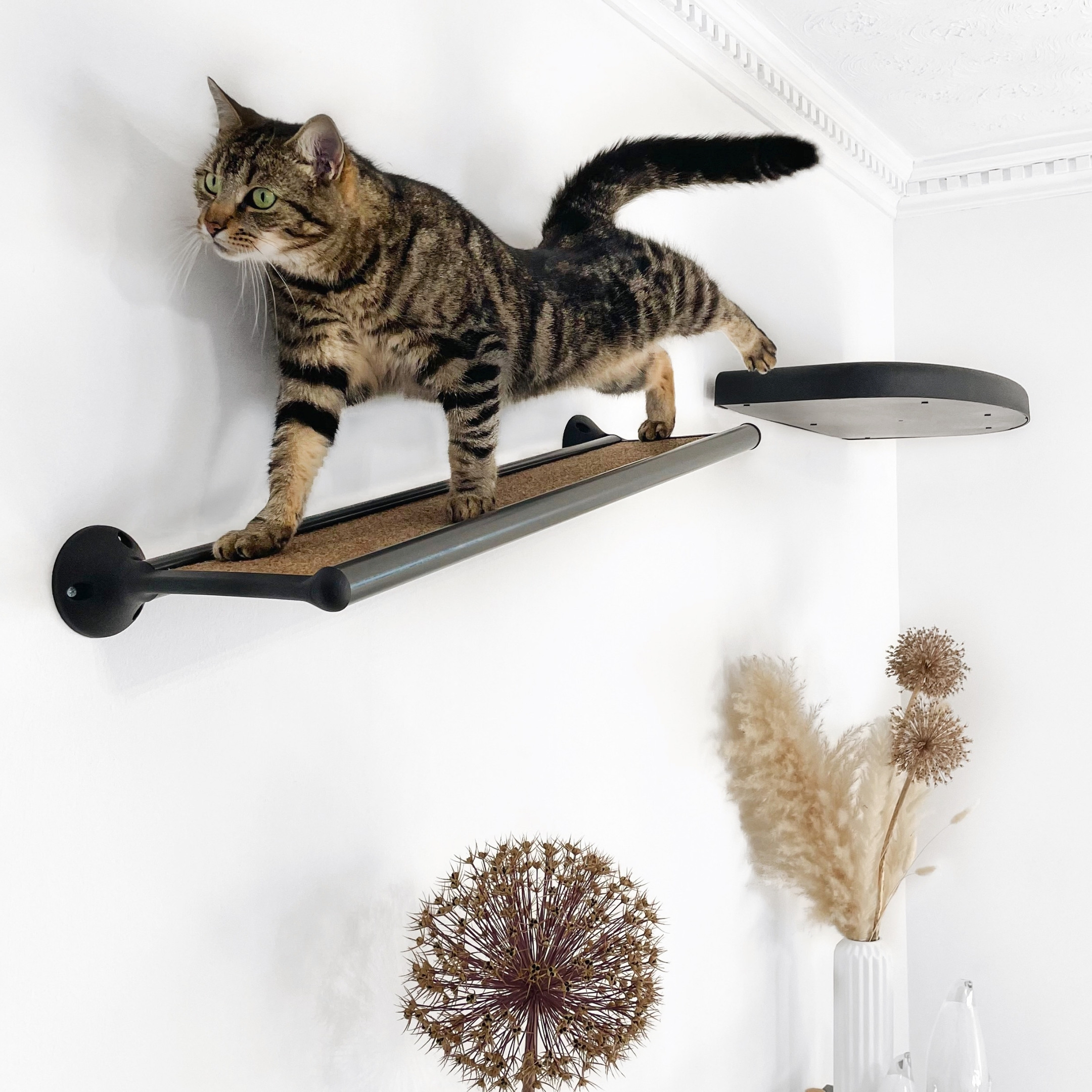 Wall-Mounted CatWalk