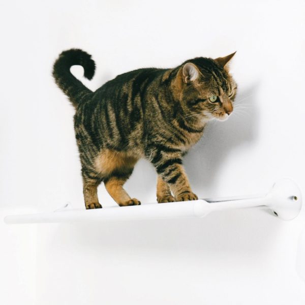 Wall-Mounted CatWalk - Image 3