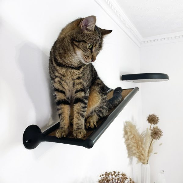 Wall-Mounted CatWalk - Image 6