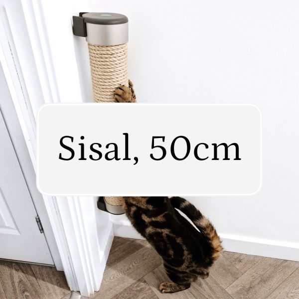 Cat Scratcher (IMPERFECT)