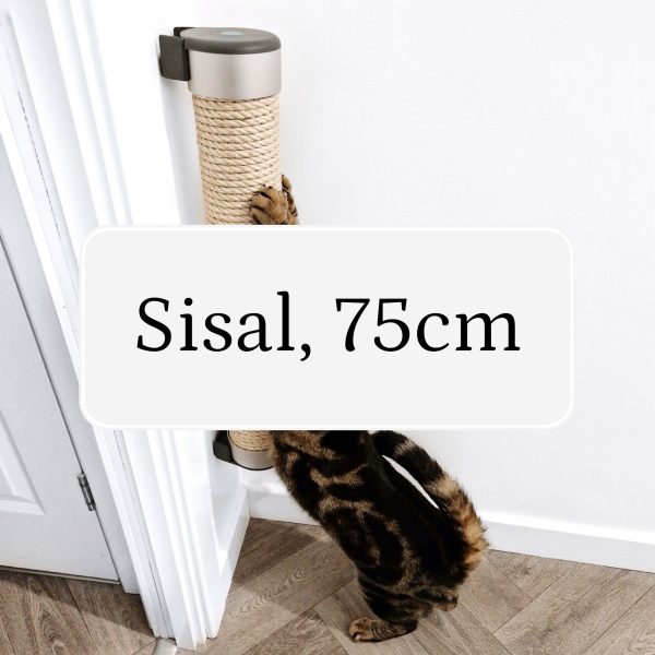 Cat Scratcher (IMPERFECT)