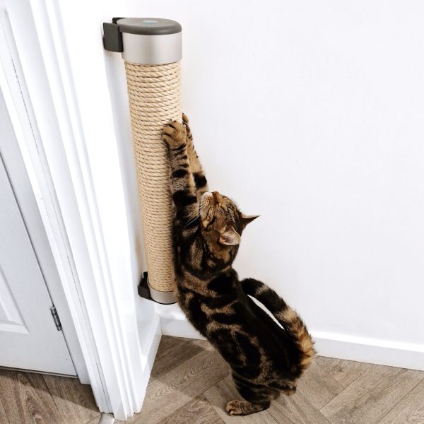 Cat Scratcher (IMPERFECT) - Image 3