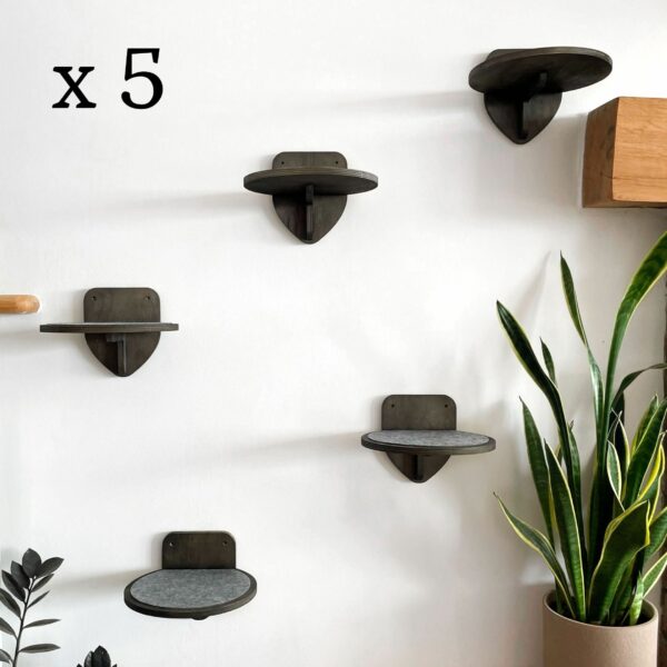 5 Cat Steps - Image 2