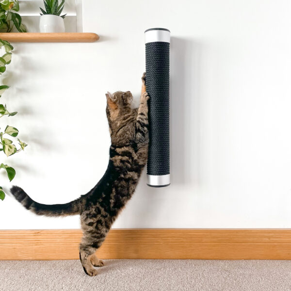 Screwless Scratching Post - Image 3