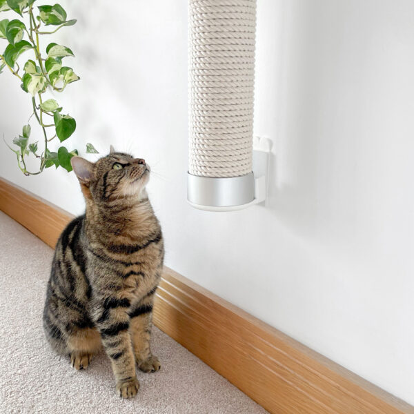 Close Screwless Cat Scratcher